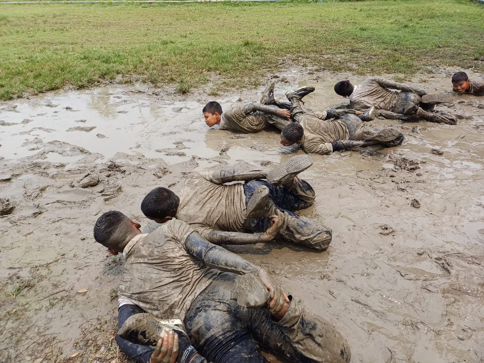 NCSF Activity